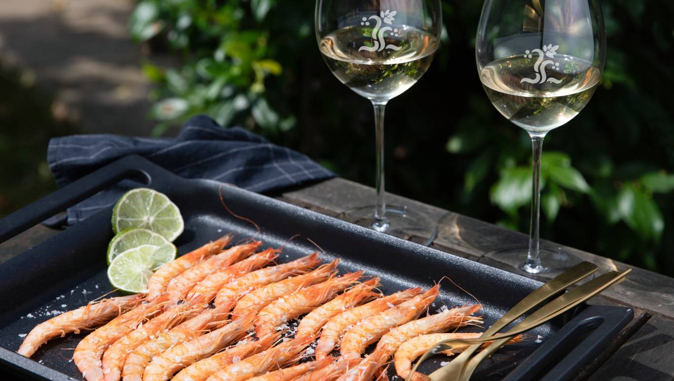 Two glasses of white Rioja wine and grilled prawns in the sunshine to represent Rioja wine and food pairing